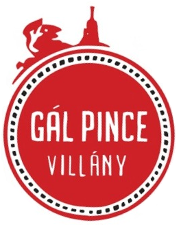 Gal Pince
